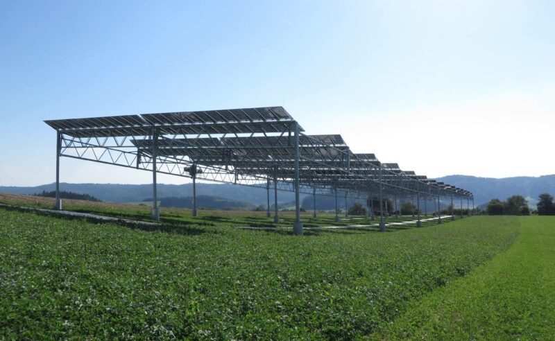 Bundesregierung will Bau von Solaranlagen auf Ackerflächen vorantreiben